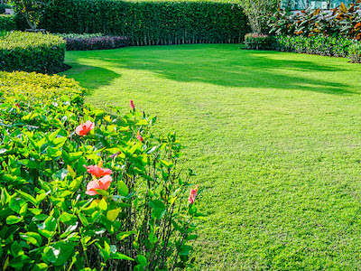 lawn care plan it A natural stone walkway and steps leading to house uphill.